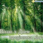 загружено (7)