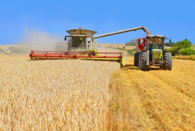 Замітка ліцензія на експорт пшениці