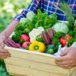Farmer holding wooden box full of fresh vegetables in his hands. Close-up view. Harvesting concept.