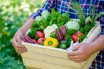 Farmer holding wooden box full of fresh vegetables in his hands. Close-up view. Harvesting concept.